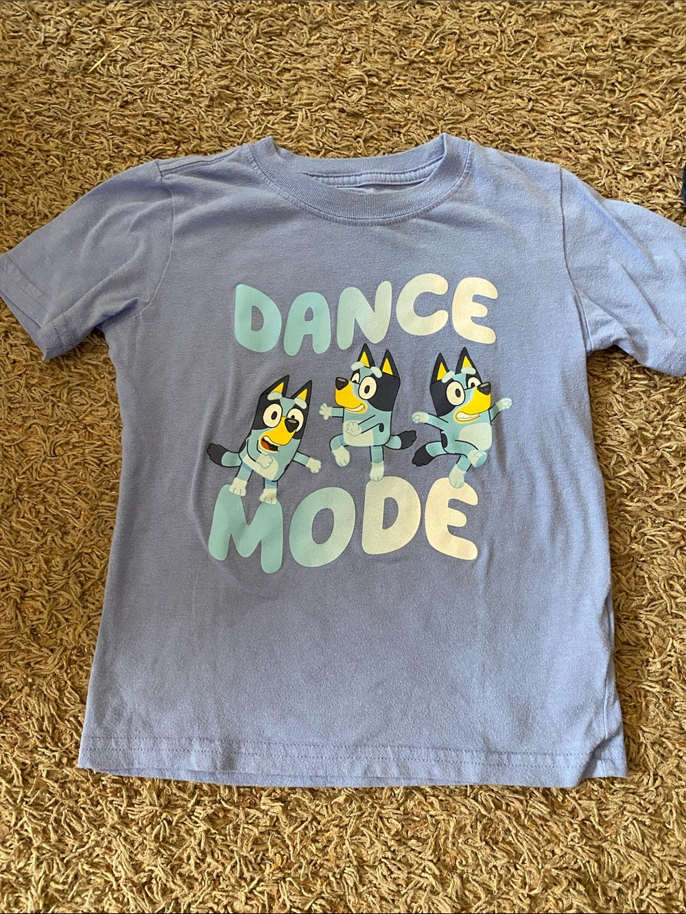 Kids 'Dance Mode' Bluey Character T-Shirt 5T